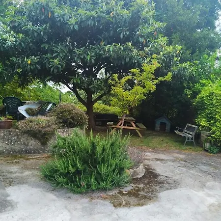 La Buganvilla